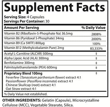 SciatiEase ingredients